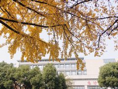 -苏州市立医院本部母子保健中心
