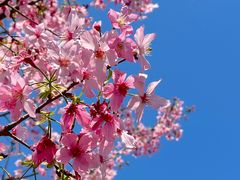 -福建鲤鱼洲酒店