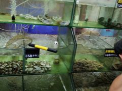 -四海鲜渔家菜(黄金海岸店)
