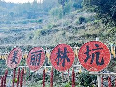 -林坑古村落