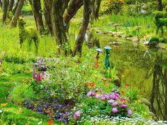 -上海共青森林公园