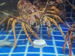 -徐记海鲜(梅溪新天地店)