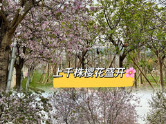 -盈香心动乐园