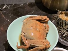 -半岛翡丽海鲜自助餐厅(观风亭店)