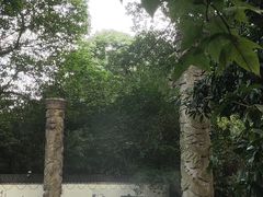 -杭州西湖风景名胜区-满觉陇四眼井