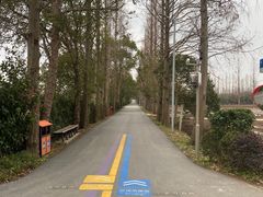 -上海长兴岛郊野公园