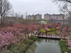 -洛阳市隋唐城遗址植物园