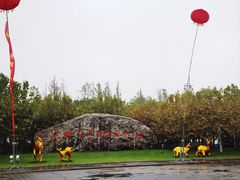 -上海海湾国家森林公园