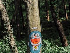 -老山国家森林公园