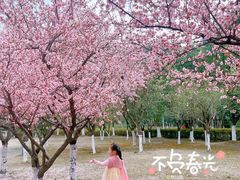 -白塘生态植物园