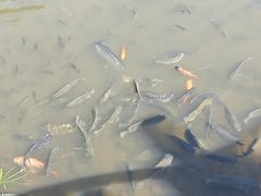 -海珠儿童公园