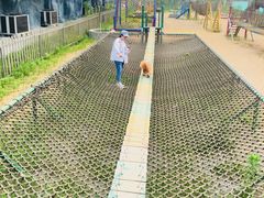 -如皋市龙游湖欢乐世界