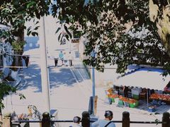 -老字号怡玺·藿香雅鱼(20年雅安店)