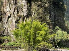 -刘伯温故里景区百丈漈