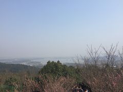 -香雪海
