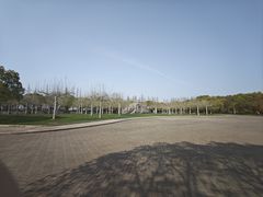 -上海海湾国家森林公园