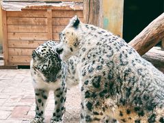 -青藏高原野生动物园