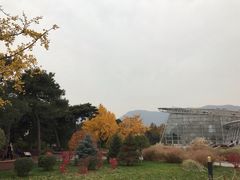 -北京植物园-展览温室