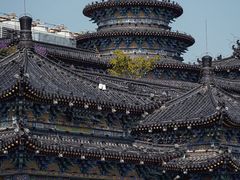 -西安城墙·碑林历史文化景区