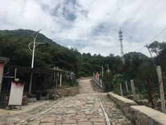 -大岭沟猕猴桃谷风景区