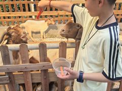 -广州长隆国际大马戏