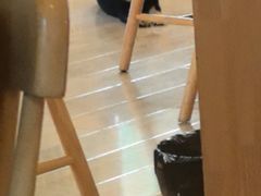 -柴の食堂·日式家庭料理·熊之肆(大学路店)