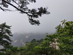 -天柱山风景区