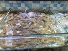 -四海蒸鲜蒸汽海鲜自助(北戴河店)
