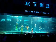 android_upload_pic-泉城欧乐堡海洋极地世界