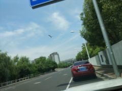 -鲨鱼皮汽车凹陷玻璃修复(静安店)