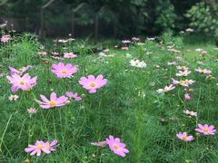 -李小龙乐园(顺德均安店)