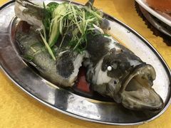 -蚝专家(北滘店)