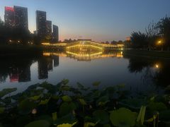 -西海子公园
