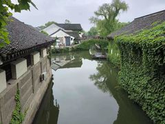 -鲁镇