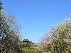 -海珠湖公园