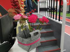 -育健帕里西青少年体能训练中心(朝阳门店)