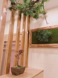 -芳朵美容养生SPA