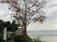 -宁波柏悦酒店·钱湖渔港