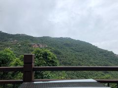-三亚亚龙湾人间天堂鸟巢度假村