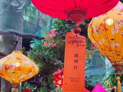 -正佳雨林生态植物园
