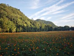 -贵阳市花溪国家城市湿地公园