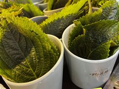 -蚝英雄·鲜蚝自助专门店(洋桥店)