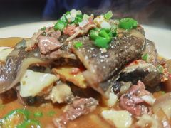 -长沙猫歌音乐餐厅(湖南女子大学店)