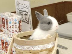 -大象厨房(重庆道店)