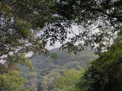 -广州市白云山风景名胜区