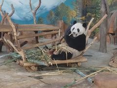 -南宁市动物园