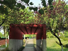 -重庆彩云湖湿地公园