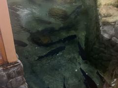 -耕渔小院·湖南鱼鲜(望城店)
