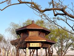 -渤公岛生态公园