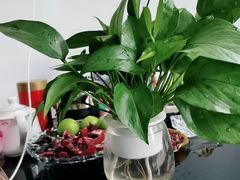 -福寿堂·推拿按摩养生(现代城店)